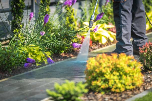Best Boat and Dock Cleaning  in Berwyn, IL
