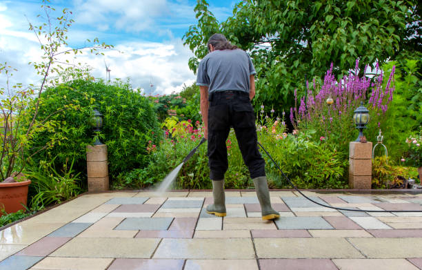 Best Fence Cleaning  in Berwyn, IL
